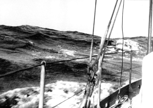 Pełnym wiatrem na grzbietach fal