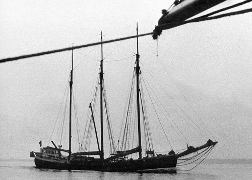 Botnicki szkuner idzie na silniku